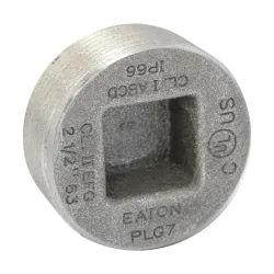 TAPON CABEZA HUECA HIERRO 2" CL1 DIV1&2, UL